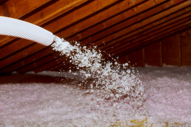 Best Home Insulation Services  in Ridge, NY