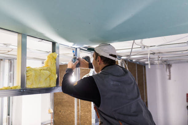 Best Insulation Inspection Services  in Ridge, NY