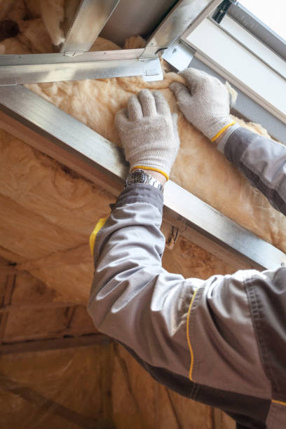 Best Home Insulation Services  in Ridge, NY