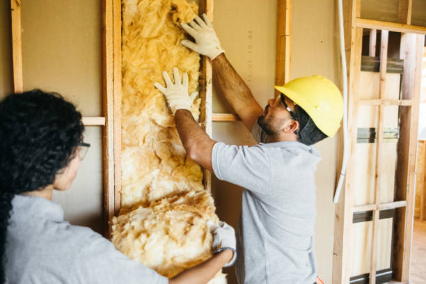 Best Insulation Replacement Services  in Ridge, NY