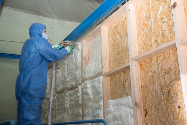 Best Blown-in Insulation  in Ridge, NY