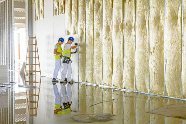 Best Insulation for New Construction  in Ridge, NY
